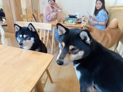 -柴の食堂·日式家庭料理·熊之肆(大学路店)