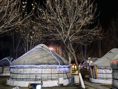 -九十九顶毡房(阜石路店)