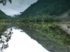 -黄龙山原始森林景区