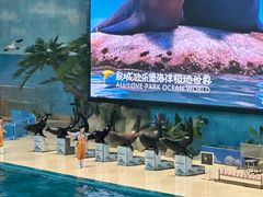 -泉城欧乐堡海洋极地世界