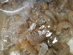 -青石桥市场北1-27号