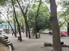 -星海公园(番禺区)