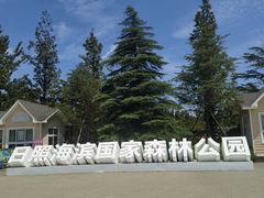 -日照海滨国家森林公园