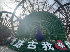 -呀路古热带植物园