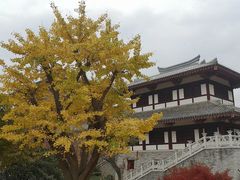 -孙武文化园-停车场