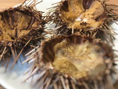 -海胆小馆(东北水饺·春柳店)