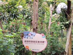 -广州长隆野生动物世界