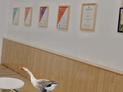 -白鹅咖啡(金城花园店)