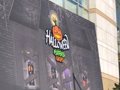 -乐天免税店(明洞店)