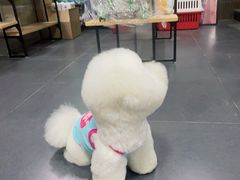 -宠宠熊宠物美容(星湖街店)