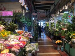 -朝来春花卉市场