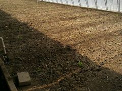 -万源龙顺度假庄园生态观光园