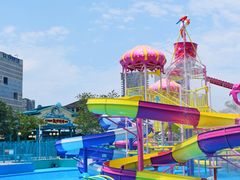 -海合安成都极地海洋公园