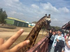 -鄂尔多斯野生动物园