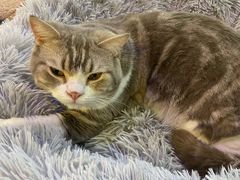 -平行世界·猫咖(首经贸店)