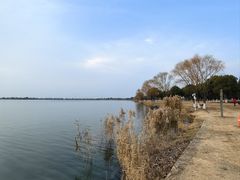 -漕湖湿地公园