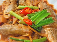 红烧黄鱼-聪辉同安老美食饭店(大元路店)