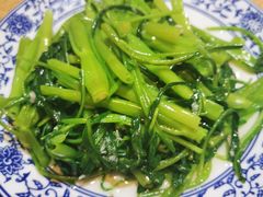 -西北狼(GOGO新天地店)