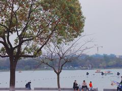 -暨阳湖生态园