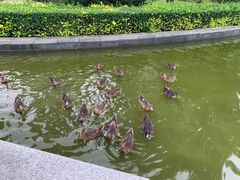 -河北霸州茗汤日月潭温泉