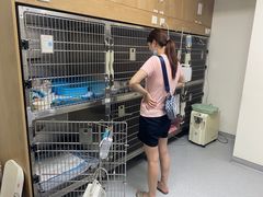 -艾贝尔宠物医院·24H转诊中心·肿瘤猫专科(江宁双龙店)