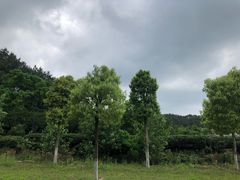 -黄陂区野村谷景区