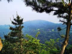 -棒棰岛宾馆景区