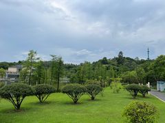 -东莞植物园