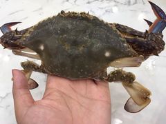 -澜悦港海鲜体验主题餐厅
