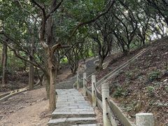 -水濂山森林公园