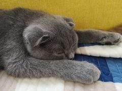 -宠颐生中康贝怡动物医院