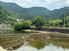-芦茨金富饭庄·25年老字号·专做稻草鸡