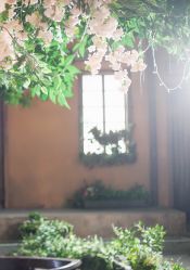 韩式-完美新娘婚纱摄影