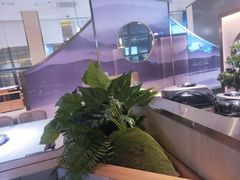-马家斑.鲜鱼火锅(松湖万科店)