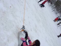 -镇江市南山风景名胜区竹林景区