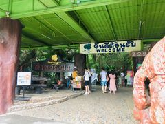 -绿光森林餐厅