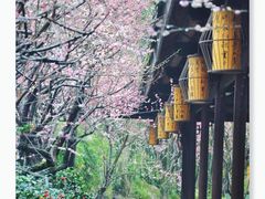 -成都杜甫草堂博物馆