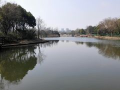 -新江湾城公园