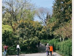 -杭州半山国家森林公园