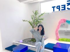 -Blue Concept Cafe&Farm·關於藍