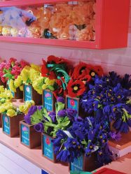 -幻贝家儿童乐园(温州银泰城店)