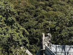 -潭柘寺景区