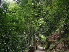 -缙云山景区
