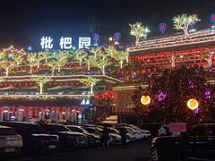 -枇杷园食为鲜火锅(南山店)