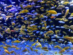 -成都浩海立方海洋公园