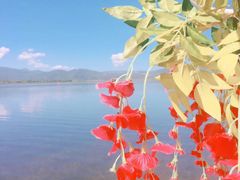 -大理洱海