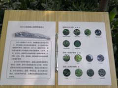 -成都市活水公园