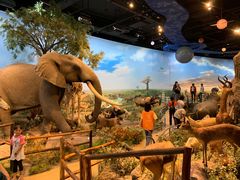 -陕西自然博物馆