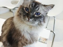 -怪兽屋·羊驼·猫咖·狗咖(俊华广场店)