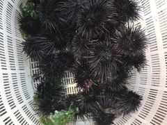 -大王村沙滩